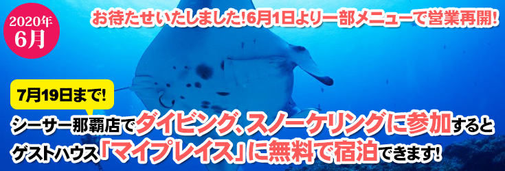 宿泊無料キャンペーン